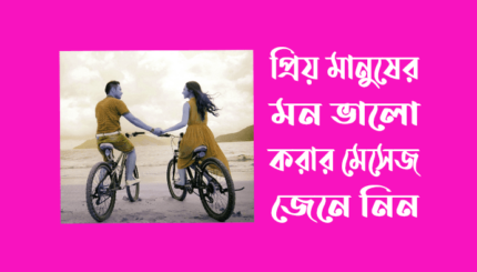 প্রিয় মানুষের মন ভালো করার মেসেজ