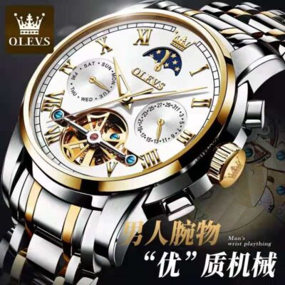 OLEVS Mens Watch Automatic Mechanical Tourbillon Slef-Wind Luxury Stainless Steel Waterproof Luminous Date Wrist Watch(03)