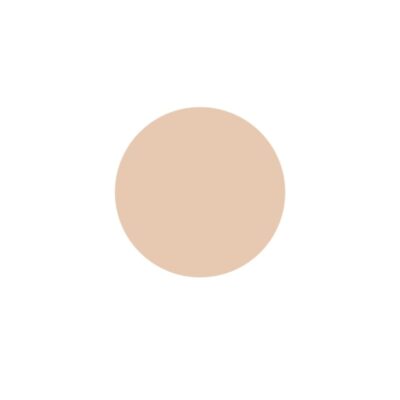 Topface Skin Editor Matte Finishing Powder (PT-263.008) 1